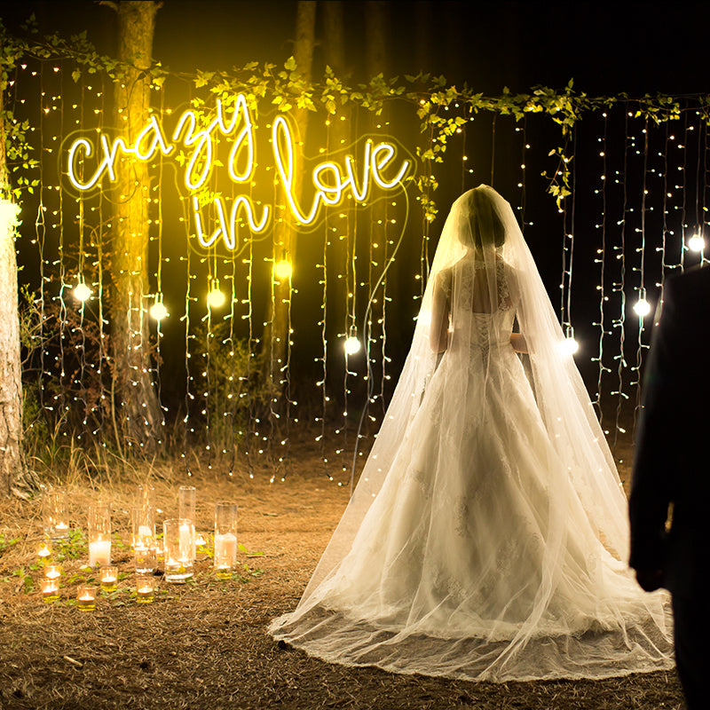 Crazy in Love Led Lights