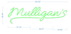 Personalized LOGO neon for  Advertising store